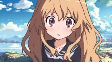 The costume / cosplay of Taiga in Toradora!
