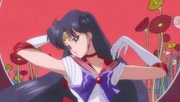 The wig for Sailor Mars in Sailor Moon