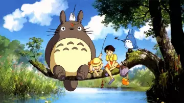 The replica of the costume of Totoro in My neighbor Totoro