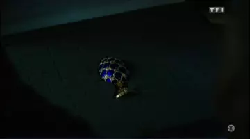 A Faberge egg in Person of Interest
