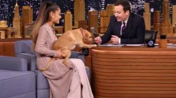 The mantle fashion dress House of CB of Ariana Grande at The Tonight Show starring Jimmy Fallon