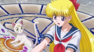 Una peluca para el cosplay de Sailor Venus