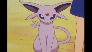 A REPLY To A PLUSH MENTALI IN POKEMON