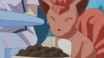 UNE REPLIQUE D'UNE PELUCHE DE GOUPIX DANS POKEMON