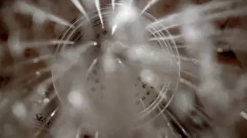 Alcide Herveaux's (Joe Manganiello) Suave shampoo in True Blood S07E02