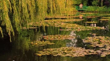 The Gardens of Giverny in Midnight in Paris ( Owen Wilson and Rachel McAdams )