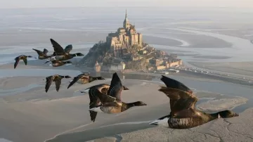La vista del Mont Saint-Michel en Le Peuple Migrateur