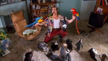 The shirt with the flowers of Ace Ventura (Jim Carrey) in Ace Ventura, detective for dogs and cats