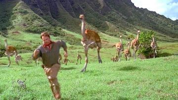 Le Kuala ranch à Hawaï dans le film Jurassic Park