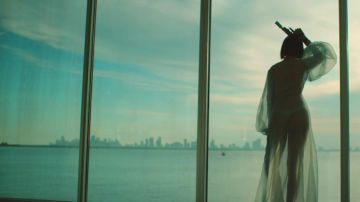 The skyline of the city of Miami behind Rihanna in Needed Me