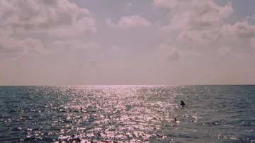 An authentic shark fin that was used in the filming of Live and let die