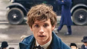 The hair of Norbert Dragon (Eddie Redmayne) in fantastic animals