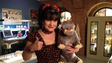 El hipopótamo petpy de Bert Abby