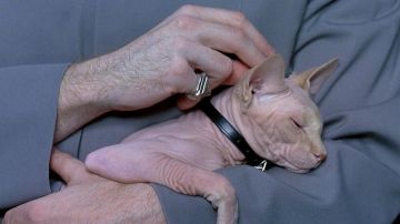 La bague de Docteur Denfer (Mike Myers) dans Austin Powers