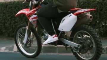 Stan Sadek la vache