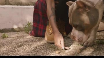 The timberland in the clip Barlou Seth Gueko