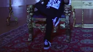 the sneakers vans authentic lil wayne in the video "no frauds"