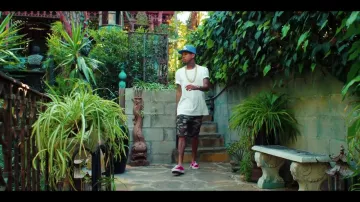 The vans in the video Hookah from Tyga