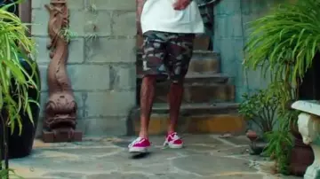 The vans red in the clip Hookah by Tyga