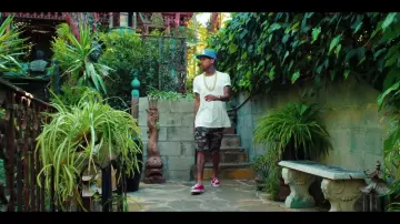 The Vans in the video Hookah from Tyga