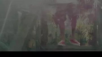 The Vans in the video Hookah from Tyga