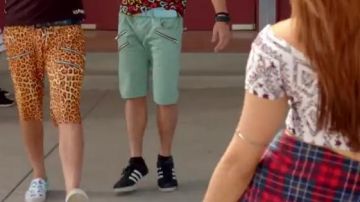 La gacela negra básica en el clip New Thang de Redfoo