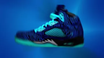 The Nike Air Jordan in the clip 23 by Miley Cyrus