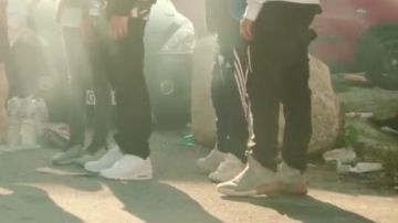 Sneakers Adidas Originals Tubular " X " in the clip Starts to S-Crew