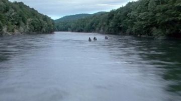 La rivière Anduin au sud de la foret de Lothlorien dans Le seigneur des Anneaux : La Communauté de l'Anneau