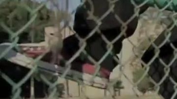 The Converse sneakers Chuck Taylor All Star Ox red in the video to Ignorance Is Bliss Kendrick Lamar