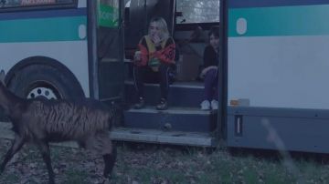 La paire de Puma R698 couleur or dans le clip Rémi de Columbine