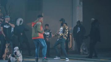 The Vans shoes Old Skool in the clip Salty Niska