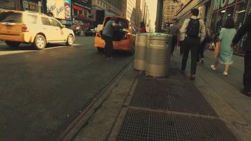 The Vans shoes Old Skool in the cloip Other species of Disiz The Plague