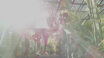 The sneakers Vans Authentic red in the clip Hookah by Tyga