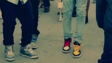 Les sneakers Nike Air Jordan 1 Retro dans le clip Cat Daddy de The Rej3ctz