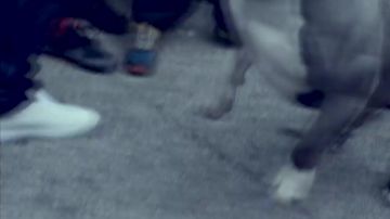 Zapatillas Adidas Originals Stan Smith en el video musical de 93 Empire de Sofiane