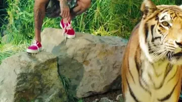 Vans Authentic Red in the clip Hookah by Tyga