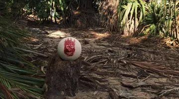 Le ballon de volleyball "Wilson" dans Seul au monde