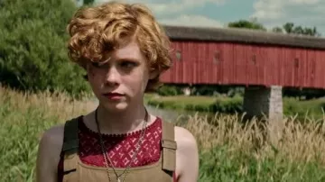 The bridge of West Montrose in Canada overview in This