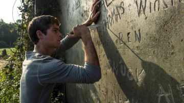 The gray t-shirt of Thomas (Dylan O'brien) in The Maze