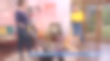 Le Tricycle Pliant Smartfold 400 de Smart Trike conseillé dans la maison des maternelles du 09/11/2017