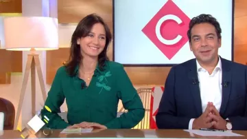 El vestido de libélula bordado de Marion Ruggieri en Cà vous del 14/11/2017