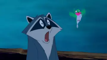 Plush Meeko in Pocahontas