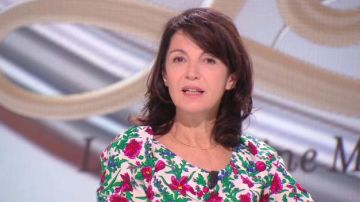 The top flower Zabou Breitman in The tube of the 25/11/2017