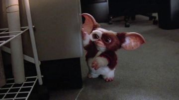 The replica plush of Gizmo in The Gremlins 2 : The new generation
