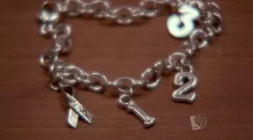 The ribbon survivor bracelet from Ellie Harp (Sheryl Lee) in The Brothers Scott S03E05