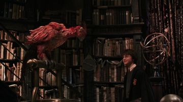 The replica of the Phoenix Fawkes to Albus Dumbledore (Richard Harris) in " Harry Potter and the chamber of secrets
