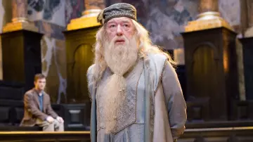 El sombrero de Albus Dumbledore (Michael Gambon) en Harry Potter y la Orden de los Fenix