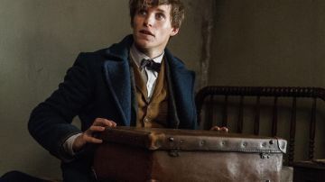 Briefcase of Newt Scamander (Eddie Redmayne) as seen in Fantastic Beasts and Where to Find Them
