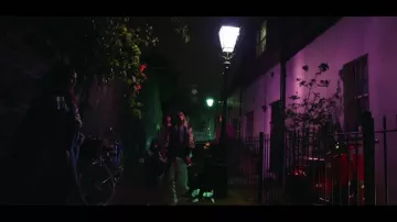 The ankle boots leopard FAUSTO PUGLISI Taylor Swift in the clip End Game featuring Future and Ed Sheeran